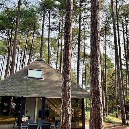 L Oree De La Pinede Hardelot Plage A 800 Metres De La Mer Sous Les Pins Dış mekan fotoğraf