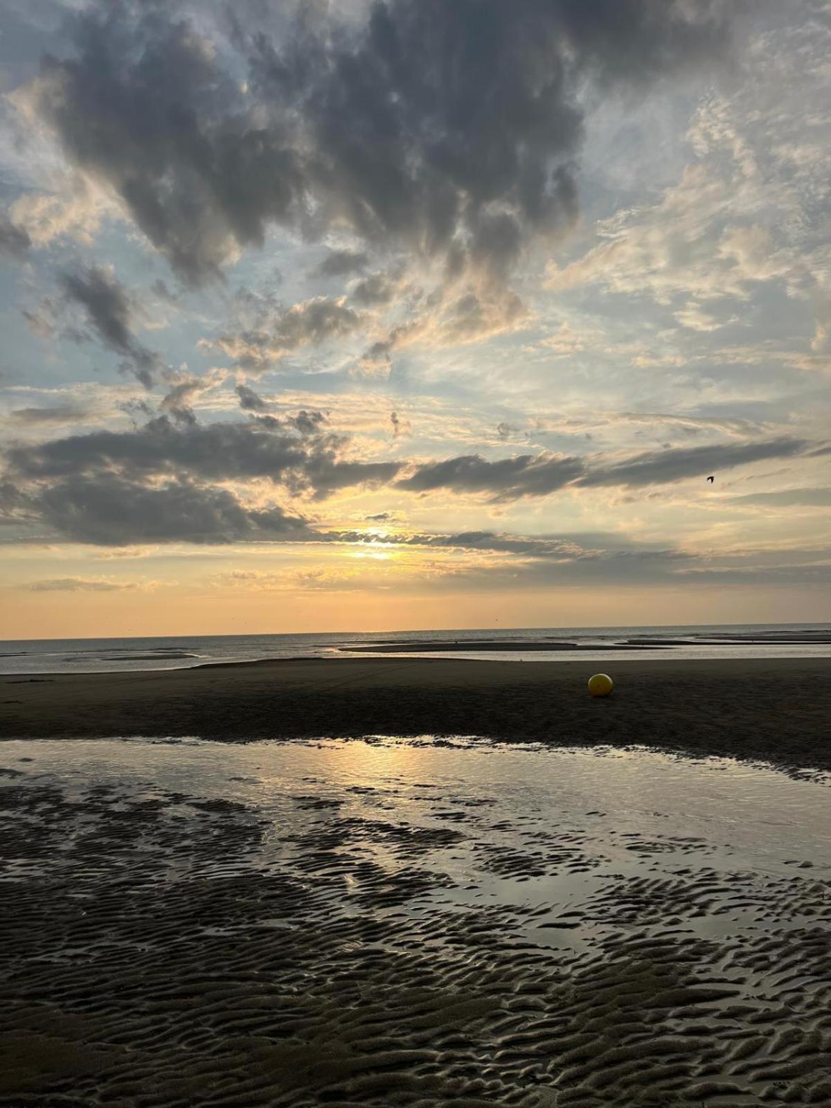 L Oree De La Pinede Hardelot Plage A 800 Metres De La Mer Sous Les Pins Dış mekan fotoğraf