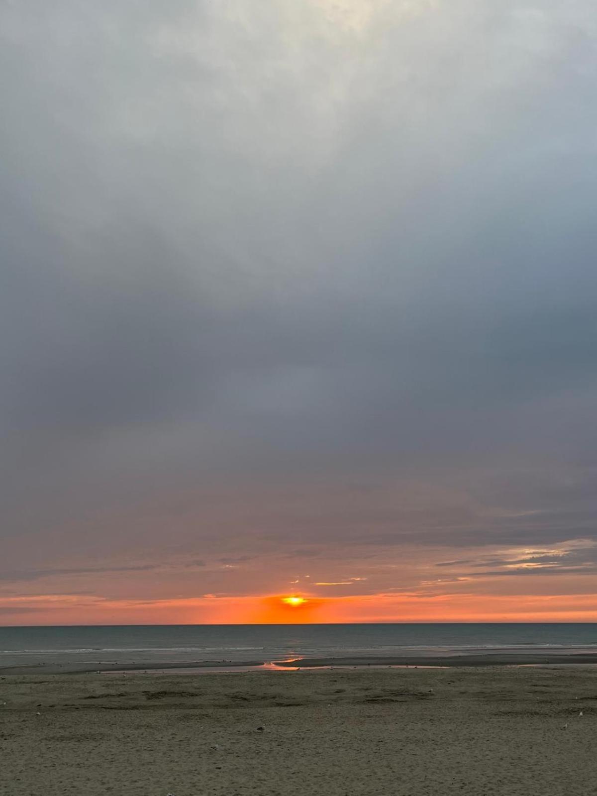 L Oree De La Pinede Hardelot Plage A 800 Metres De La Mer Sous Les Pins Dış mekan fotoğraf
