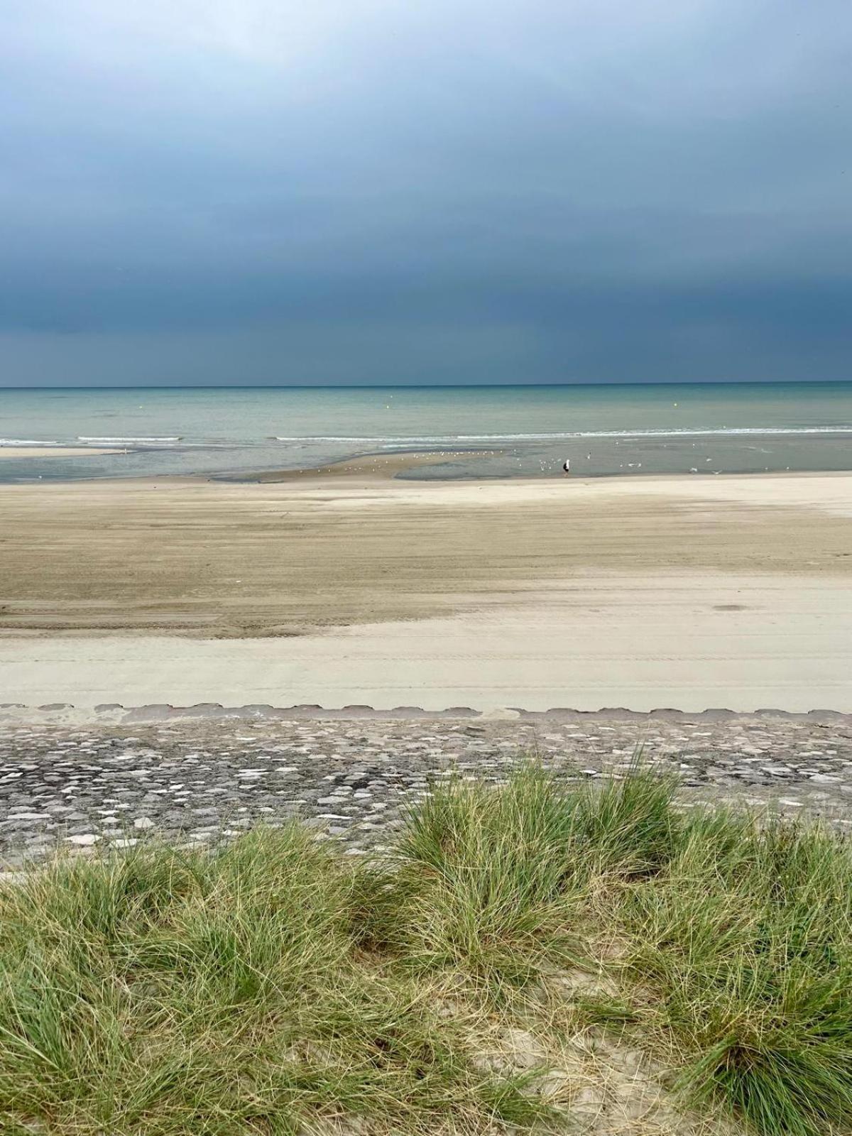 L Oree De La Pinede Hardelot Plage A 800 Metres De La Mer Sous Les Pins Dış mekan fotoğraf