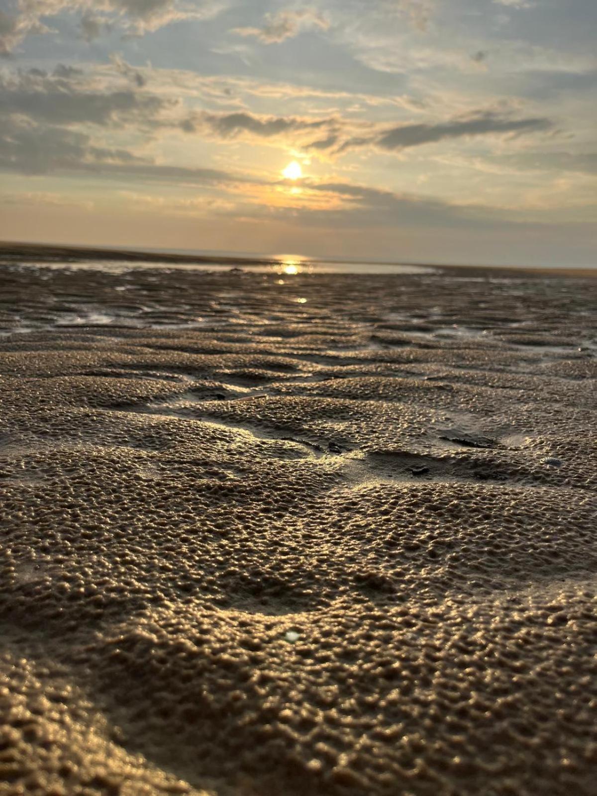 L Oree De La Pinede Hardelot Plage A 800 Metres De La Mer Sous Les Pins Dış mekan fotoğraf