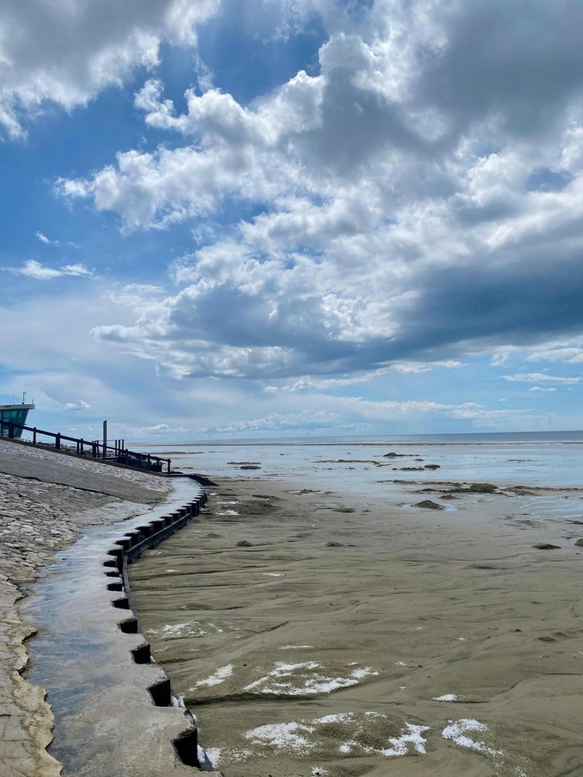 L Oree De La Pinede Hardelot Plage A 800 Metres De La Mer Sous Les Pins Dış mekan fotoğraf