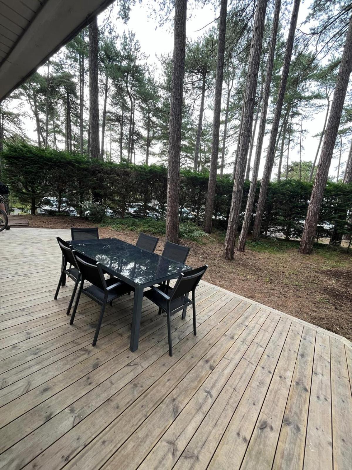 L Oree De La Pinede Hardelot Plage A 800 Metres De La Mer Sous Les Pins Dış mekan fotoğraf