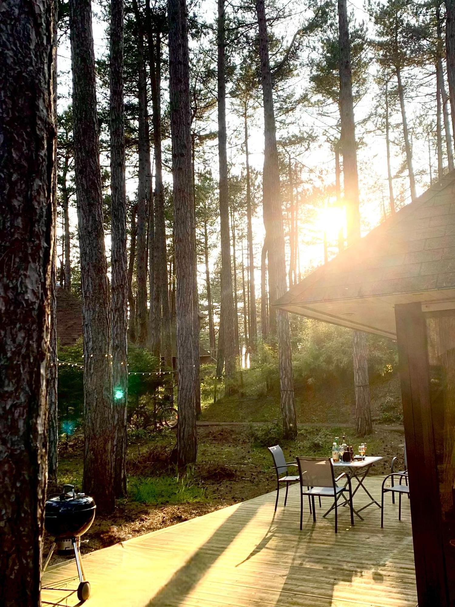 L Oree De La Pinede Hardelot Plage A 800 Metres De La Mer Sous Les Pins Dış mekan fotoğraf